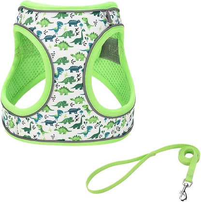 Step in Dog Harness and Leash Set, Flower Adjustable Easy Walk Puppy Harnesses, Soft Mesh Pet Vest Harness Small Size Dog Adjustable No Pull Dog Harness for Small Medium Dogs(Dinosaur1, S)