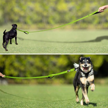 Plutus Pet Double Handle Dog Leash 6ft Long, Padded 2 Handle, Heavy Duty, Reflective Training Leash for Medium Large Dogs, Dual Handle Lead (Green)