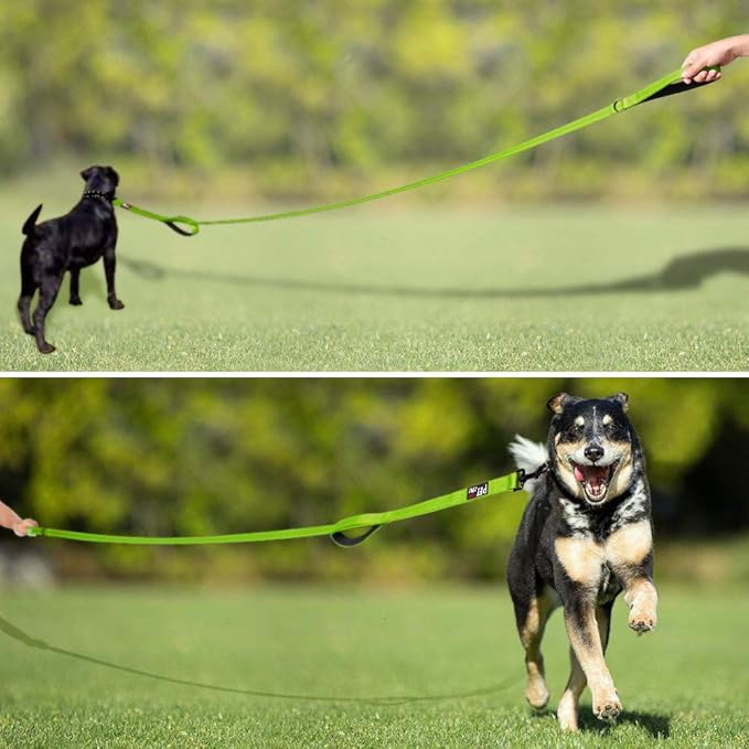 Plutus Pet Double Handle Dog Leash 4ft, Heavy Duty, Reflective Dual Handle Dog Leash for Safety Training, for Medium Large Dogs,2 Handle Leads(Green)
