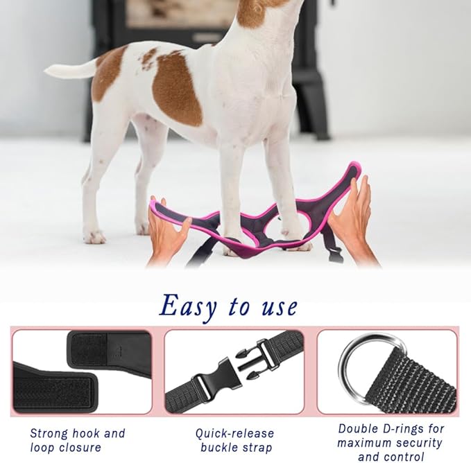 Comfort Fit Dog Harness Soft Padded No Pull Harness with Adjustable Buckles for Small Medium Large Dogs Step in Pet Vest with Easy Control Handle for Walking Jogging Running Training Dogs & Puppies