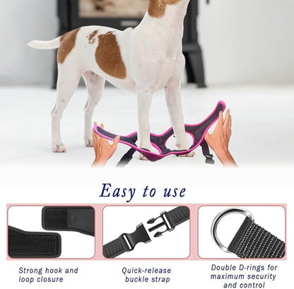 Comfort fit Step-in Dog & Puppy Harness - Comfortable Dog & Puppy Vest: Adjustable, Soft Padded, Easy to Put-on for Small, Medium-Sized Dogs.