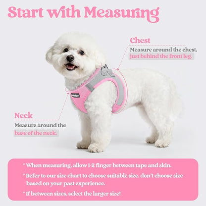 rabbitgoo Dog Harness Small Sized and Leash Set, Step in Soft Light Puppy Vest, Breathable Mesh Pet Harness, Reflective for Safe Easy Walking, Pink & Gray M