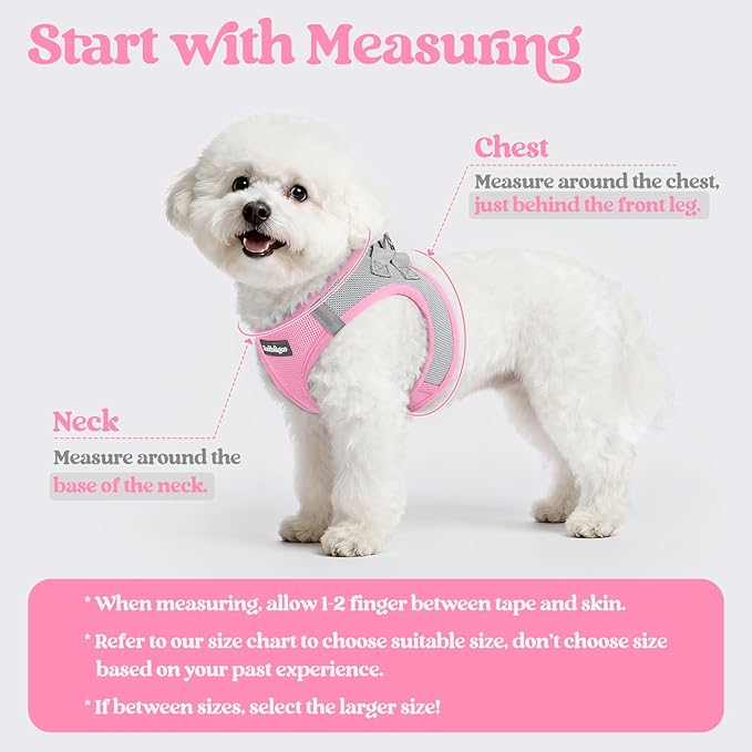 rabbitgoo Dog Harness Small Sized and Leash Set, Step in Soft Light Puppy Vest, Breathable Mesh Pet Harness, Reflective for Safe Easy Walking, Pink & Gray XXS