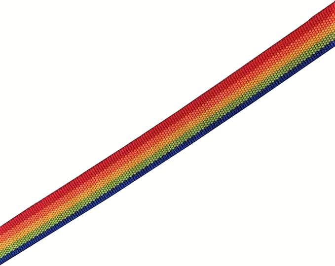 TAIAN 4FT/5FT/6FT Strong Dog Leash, Nylon Dog Leashes for Small Medium Large Dogs (5/8 in x 5 ft, Rainbow)