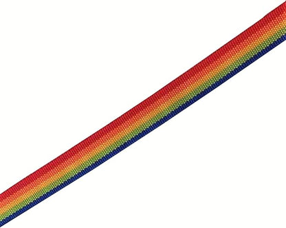 TAIAN 4FT/5FT/6FT Strong Dog Leash, Nylon Dog Leashes for Small Medium Large Dogs (1 in x 6 ft, Rainbow)