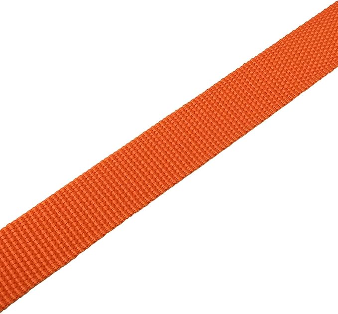 TAIAN 4FT/5FT/6FT Strong Dog Leash, Nylon Dog Leashes for Small Medium Large Dogs (Orange, 1 in x 15 ft)