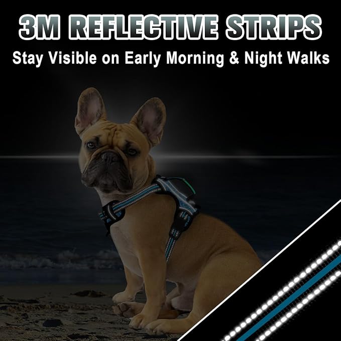 BARKBAY No Pull Dog Harness Large Reflective Dog Harness with Front Clip and Easy Control Handle for Walking Training Running with ID tag Pocket(Blue/Black,XS)