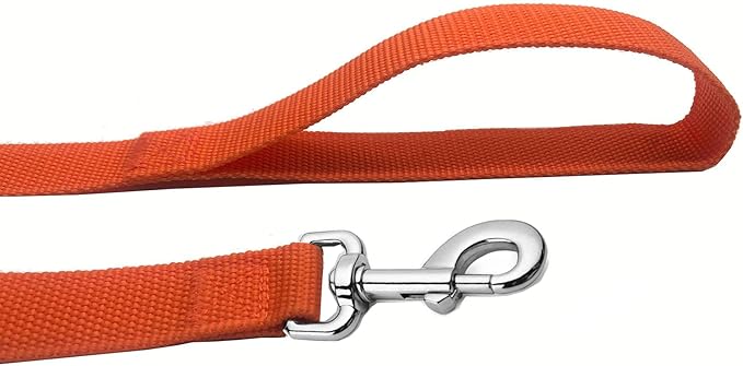 Strong Nylon Dog Leash, 4FT/ 5 FT/ 6FT Dog Leashes for Medium Large Dogs (6FT, Orange)