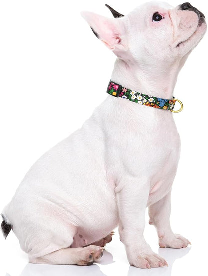 Rnivvi Dog Collar for Small Dogs, Cute Floral Heavy Duty Adjustable Puppy Collar with Quick Release Buckle for Girl & Female, Pet Accessories for Walking Running, XS Length 5/8" Width, Vibrant