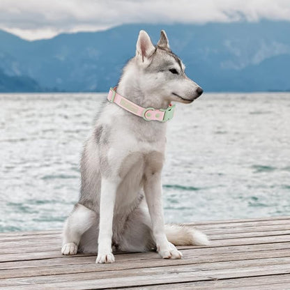 Wolfone Waterproof Dog Collar with Quick Release Buckle， Cute Adjustable Collar for Dogs Comfort Sturdy Durable Odor Proof Easy Care（Gossamer Pink 46-70cm）