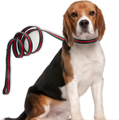 Premium Dog Collar, Cute Dog Collars Luxury Style, Durable Pet Collars and Dog Leash with Metal Buckle Safety for Medium Dogs
