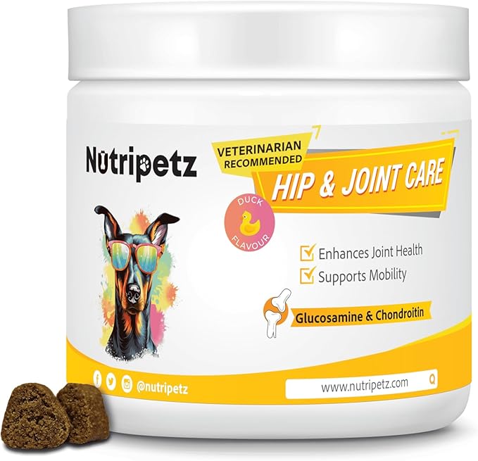 Hip & Joint Supplement for Dogs – NutriPetz Turmeric & Hemp Chews – Joint Pain Relief & Mobility Support – Glucosamine Dog Treats, All Breeds & Ages, 120 Soft Chews