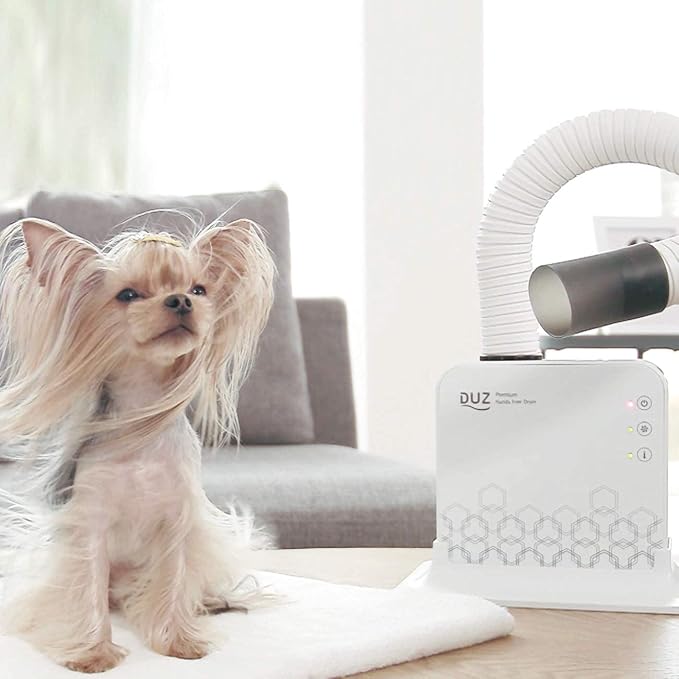 DUZ V2 Super Quiet Hands-Free Pet Dryer: Low-Noise Dog Dryer for Grooming, Reduces Labor & Stress, Ideal for Small Dogs and Cats, 1-Year Warranty