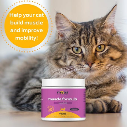 MYOS Feline Muscle Formula - Powered by Fortetropin for Senior Cats - Aids Weight Gain, Muscle Growth & Mobility Support - Natural, Cat Nutritional Supplement - 180 Servings