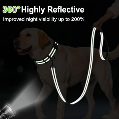 4FT Reflective Nylon Dog Leash with Soft Padded Handle for Walking, Running and Training, Supports Small Medium and Large Dogs (Green, 1 Inch Wide)