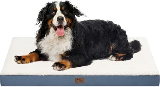 Tail Stories Dog Beds for Large Dogs, Comfort Orthopedic Dog Bed for Extra Large Dogs, Big Waterproof Pet Bed with Washable Removable Oxford Cover, Blue White
