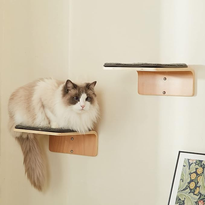 LIORCE 2 Set Cat Wall Steps - Wooden Cat Climbing Shelf for Wall - Cats Wall Stairs with Scratching Mat - Wall Mounted Cats Furniture for Jumping, Playing, and Lounging