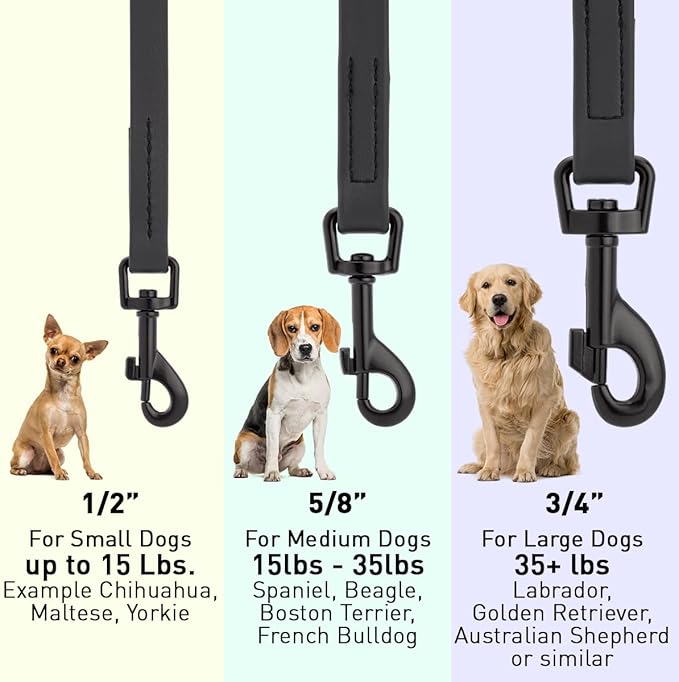 Dogline Biothane Waterproof Dog Leash Strong Coated Nylon Webbing with Black Hardware Odor-Proof Easy to Clean High Performance for Small or Large Dogs Made in USA 4 or 6 ft Lead, Black