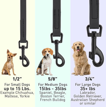 Dogline Biothane Waterproof Dog Leash Strong Coated Nylon Webbing with Black Hardware Odor-Proof Easy to Clean High Performance for Small or Large Dogs Made in USA 4 or 6 ft Lead, Black