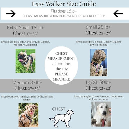 Lucky Love Dog No Pull Dog Harness, Adjustable and Easy to Walk, Cute Patterned Harness for Small Medium Large Male & Female Dogs - Blackbird, XXS