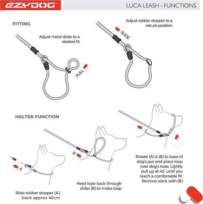 EzyDog Luca Slip Lead Dual Function Heavy Duty Rope Leash for Dogs That Pull Slip Leash & Gentle Lead Head Halter, Small (5.5ft x .23', Black)