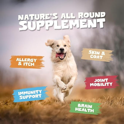 Pets Purest Salmon Oil for Dogs, Cats, Horses, Ferrets & Pets - 32 Fl Oz 100% Pure Premium Food Grade - Natural Omega 3, 6 & 9 Supplement - Promotes Coat, Skin, Joint and Brain Health