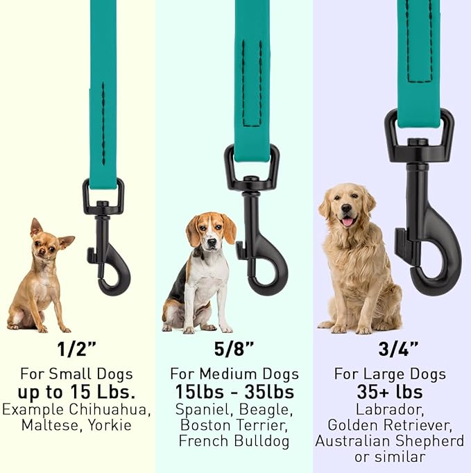 Dogline Biothane Waterproof Dog Leash Strong Coated Nylon Webbing with Black Hardware Odor-Proof Easy to Clean High Performance for Small or Large Dogs Made in USA 4 or 6 ft Lead, Blue Aqua