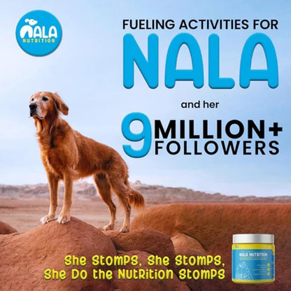 Nala Nutrition Advanced Hip and Joint Supplement for Dogs | Chondroitin, Vitamin and Glucosamine for Dogs | Dog Joint Supplement for Health + Mobility | 120 Scoops