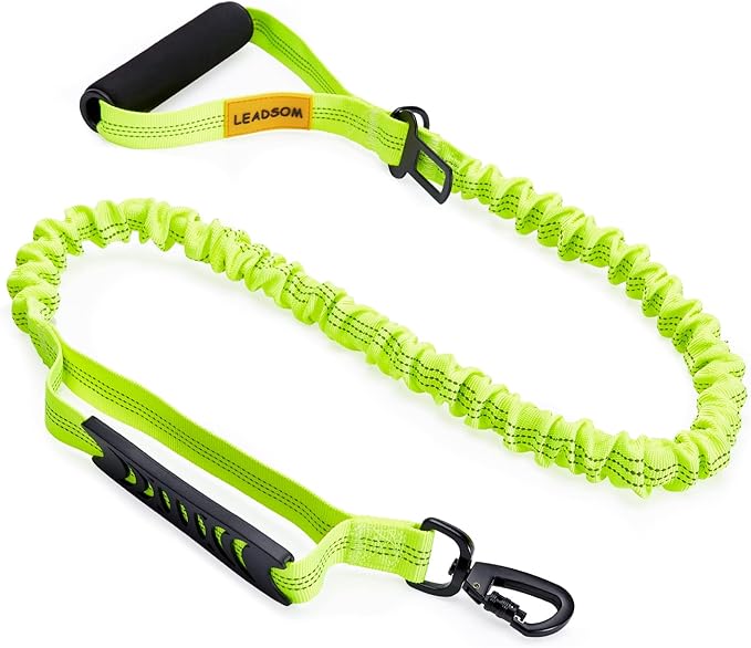 LEADSOM 6FT Highly Reflective Heavy Duty Elastic Bungee Medium and Large Dog Leash Shock Absorbing with Comfortable Padded Handle and Traffic Handle Suitable for Training