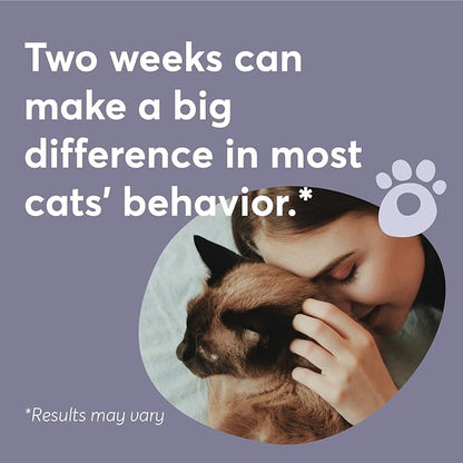 BUDDYJOY Cat Calming Diffuser Refills – Long-Lasting 30-Day Formula with Pheromones for Stress Relief, Relaxation, and Anxiety Reduction in Cats Easy to Use – (1 Refill)