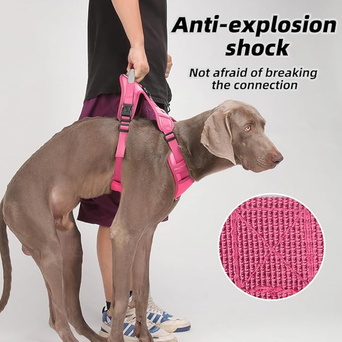 Airtag Dog Harness Chest Plate Reflective No Pull Harness with Leash for Extra Large Dogs (Fuchsia, XL)