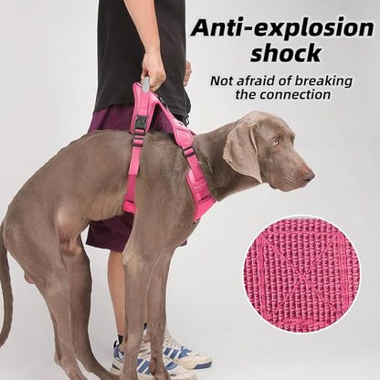 Airtag Dog Harness Chest Plate Reflective No Pull Harness with Leash for Extra Large Dogs (Fuchsia, XL)