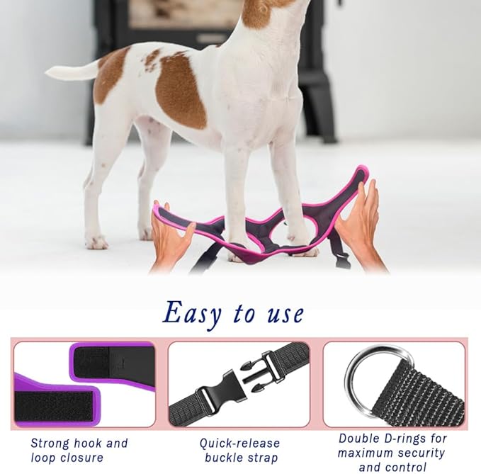 Comfort Fit No Pull Dog Harness – Adjustable Step-in Vest for Small, Medium & Large Dogs, Soft Padded with Leash Clips, Reflective Straps & Handle