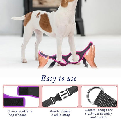 Comfort Fit No Pull Dog Harness – Adjustable Step-in Vest for Small, Medium & Large Dogs, Soft Padded with Leash Clips, Reflective Straps & Handle