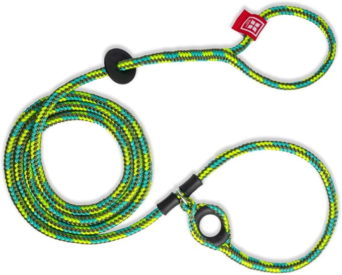 Harness Lead No Pull Dog Harness and Leash Set, Anti Pull Dog Harness, One-Piece Cushioned Rope Safely Prevents Escaping and Pulling *New Insert is Removable (Small/Medium, Rainforest)