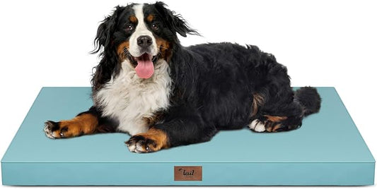 Tail Stories Outdoor Extra Large Dog Crate Bed, XXL Waterproof Dog Bed for Giant Breeds Dogs, 47x29 Inch Orthopedic Egg Crate Foam Pet Mat with Removable Cooling Cover, Light Blue