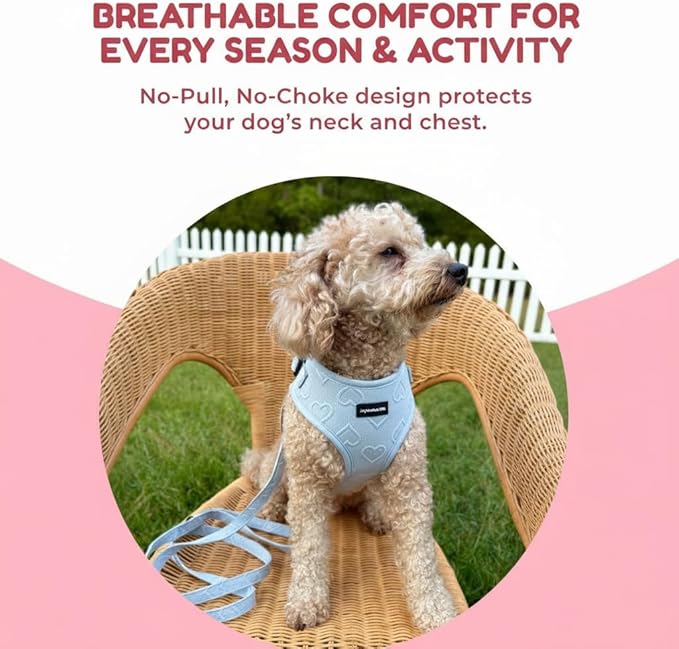 No-Pull, No-Choke Dog Harness & Leash Set – Stylish & Fun – Lightweight, Breathable Neoprene – Unique Heart Pattern – Adjustable for Extra Small to Medium Dogs (Harness Leash Set-Blue, X-Small)