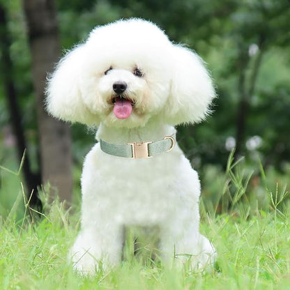 Ewinoom Soft Corduroy Dog Collar and Leash Set Adjustable Durable Dog Collars with Metal Buckle and Lead for Large Dogs,Grass Green