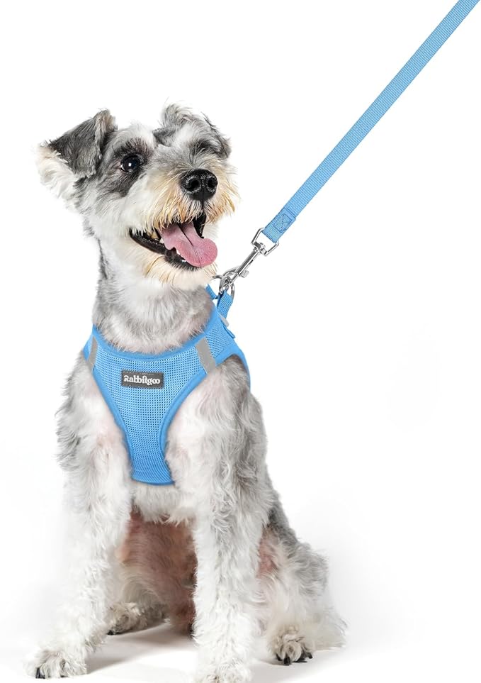 rabbitgoo Dog Harness Small Medium Sized and Leash Set, Step in Soft Light Puppy Vest, Breathable Mesh Pet Harness, Reflective for Safe Easy Walking, Blue XL