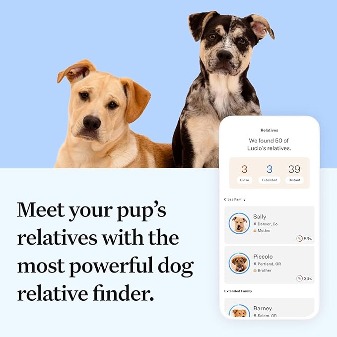 Wisdom Panel Essential Dog DNA Kit: Most Accurate Test for 365+ Breeds, 30 Genetic Health Conditions, 50+ Traits, Relatives, Ancestry - 2 Pack