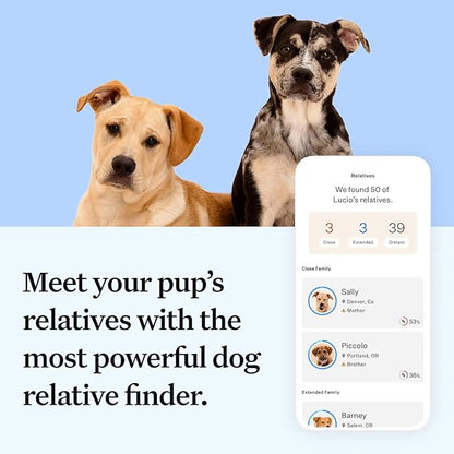Wisdom Panel Essential Dog DNA Kit: Most Accurate Test for 365+ Breeds, 30 Genetic Health Conditions, 50+ Traits, Relatives, Ancestry - 2 Pack