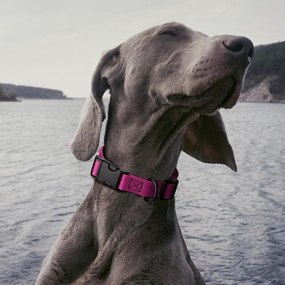 Dogline Biothane Waterproof Dog Collar with Quick Release Buckle Strong Coated Nylon Webbing with Odor- Proof for Easy Care Easy to Clean Fits Small Medium Large Dogs, Magenta Pink 1" W 15-23" L