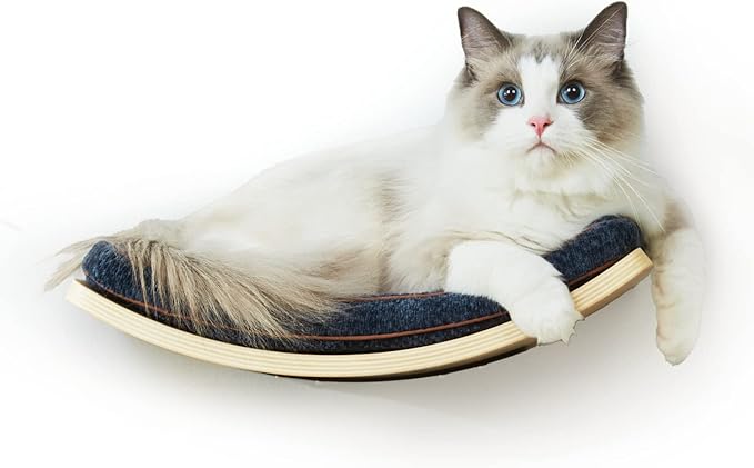 LIORCE Cat Shelf with Comfortable Cushion - Curved Cat Shelves and Perches for Wall (Medium Size) - Wall Mounted Cats Furniture for Sleeping, Playing, Climbing, and Lounging