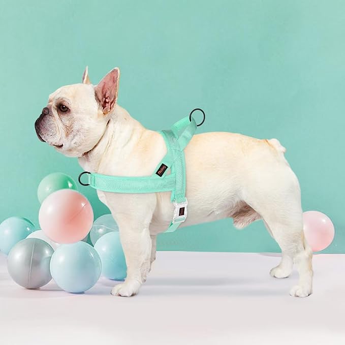 Didog No Pull Dog Harness with Breathable Mesh Padded, Quick Fit & Easy on Dog Vest Harness for Small Medium Large Dogs Training Walking(Green,M)