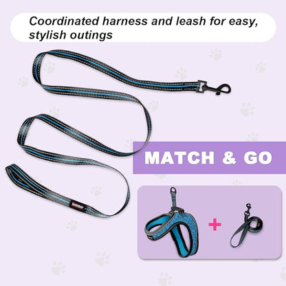 Cat Harness and Leash Set,Escape Proof Kitten Harness,Step in Adjustable Soft Lightweight,Easy Control,Reflective Strips Comfortable for Walking Travel(Blue/Black,XS)