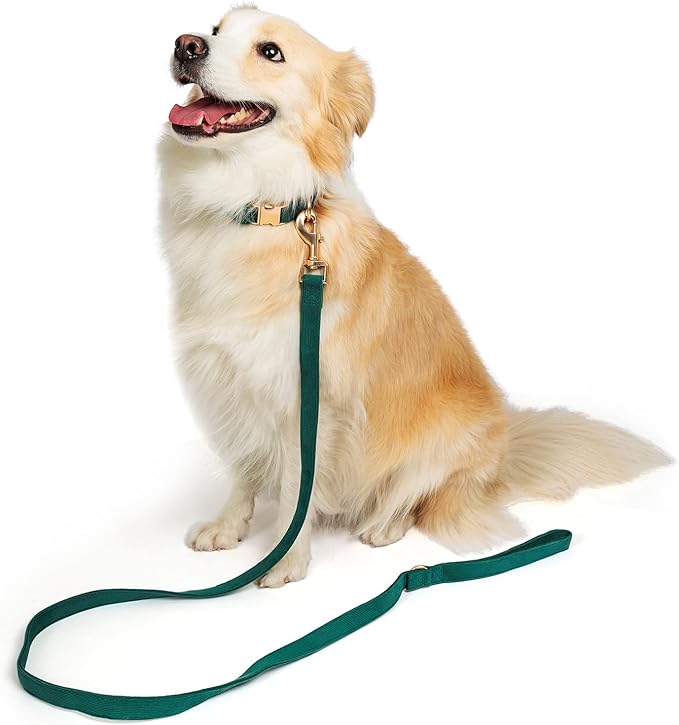 Ewinoom Soft Corduroy Dog Collar and Leash Set Adjustable Durable Dog Collars with Metal Buckle and Lead for Large Dogs,Dark Green