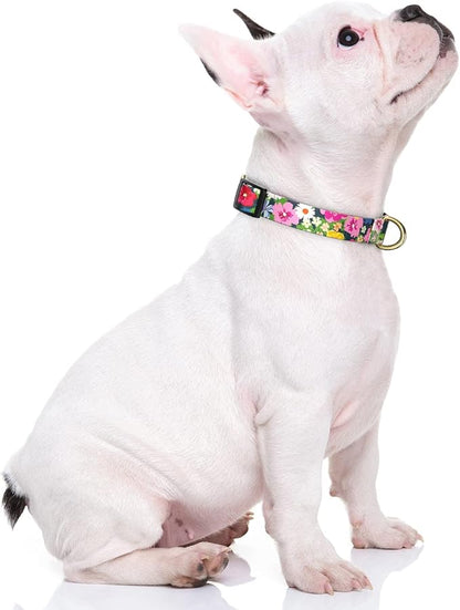 Rnivvi Dog Collar for Small Dogs, Cute Floral Heavy Duty Adjustable Puppy Collar with Quick Release Buckle for Boy Girl & Female, Pet Accessories for Walking Running, XS Length 5/8" Width, Elegant