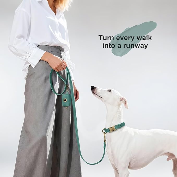 Didog Stylish PU Leather Dog Leash for Large Dogs, Easy to Clean 5ft Dog Leashes for Medium Dogs, Fashionable and Elegant for Walking, Running and Training,Green, M