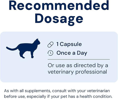 AnimalBiome Cat Probiotics - GMP Prebiotics and Probiotics - Reduces Diarrhea Flareups for Cats - KittyBiome