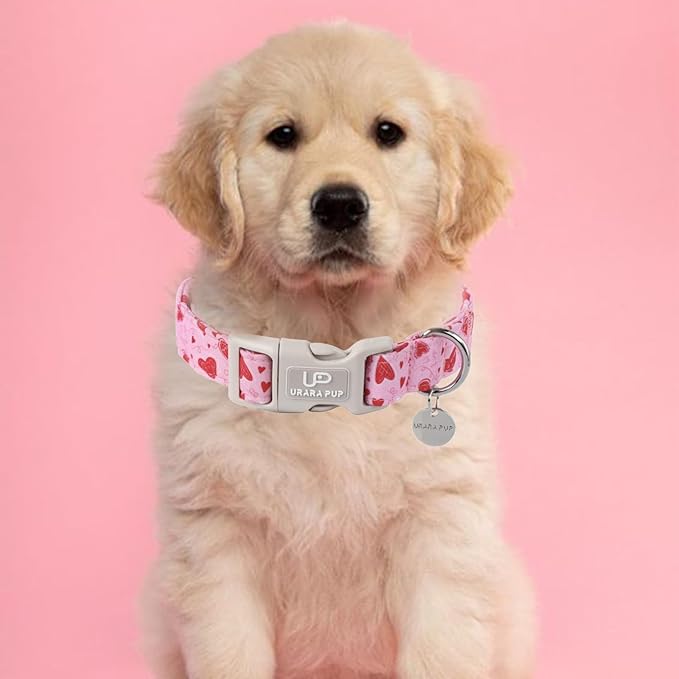 UP URARA PUP Valentine’s Day Dog Collar, Pink Heart Dog Collar with Quick Release, Valentine’s Day Gift Pet Collar for Puppy Girl Boy Dogs, Wedding Dog Collar